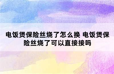 电饭煲保险丝烧了怎么换 电饭煲保险丝烧了可以直接接吗